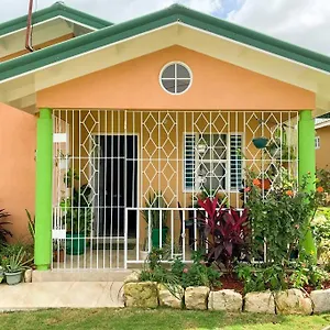 Apartment Cozy Jamaica